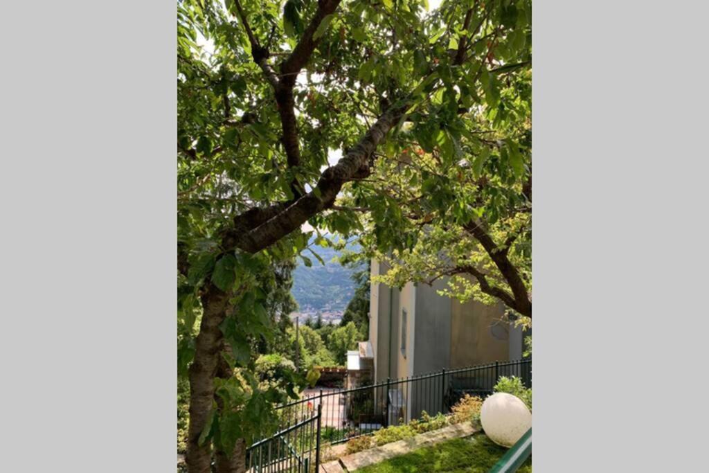 The Cherry Garden House Loft Lusso Lejlighed Brunate Eksteriør billede